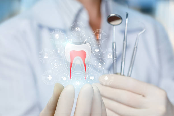 Best Dental Exams and Cleanings  in Sebastian, FL